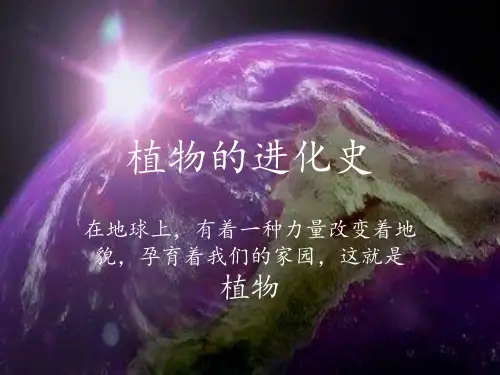 植物的进化史 ppt课件