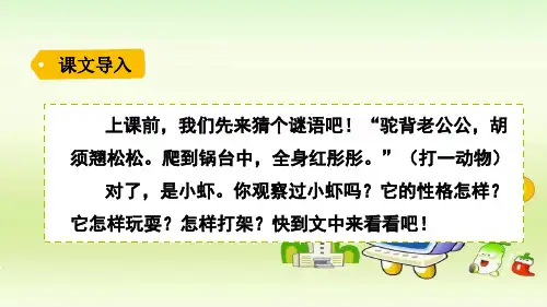 三年级下册语文课件-15小虾 人教部编版(共20张PPT)优质教学PPT