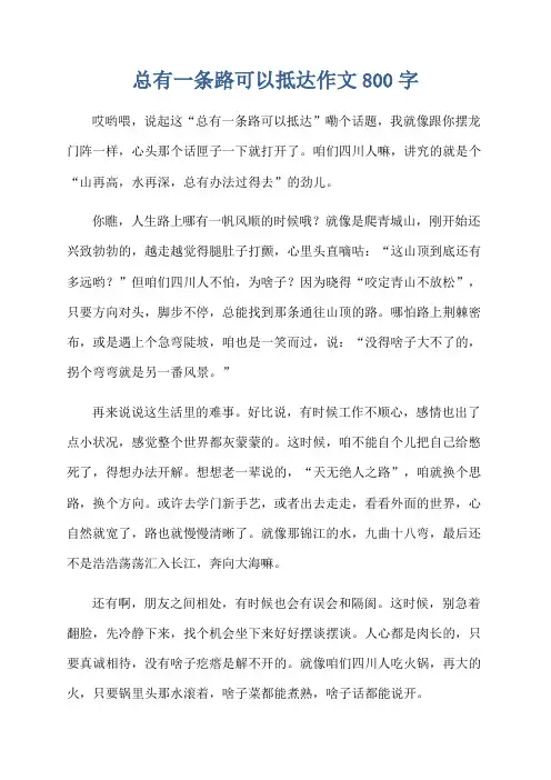 总有一条路可以抵达作文800字