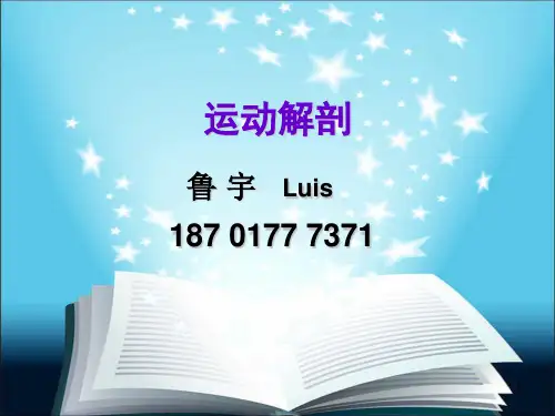 《肌肉解剖》ppt课件