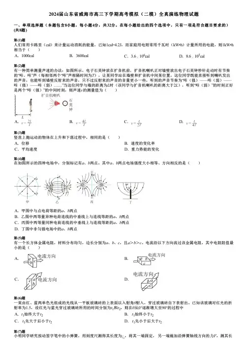 2024届山东省威海市高三下学期高考模拟(二模)全真演练物理试题