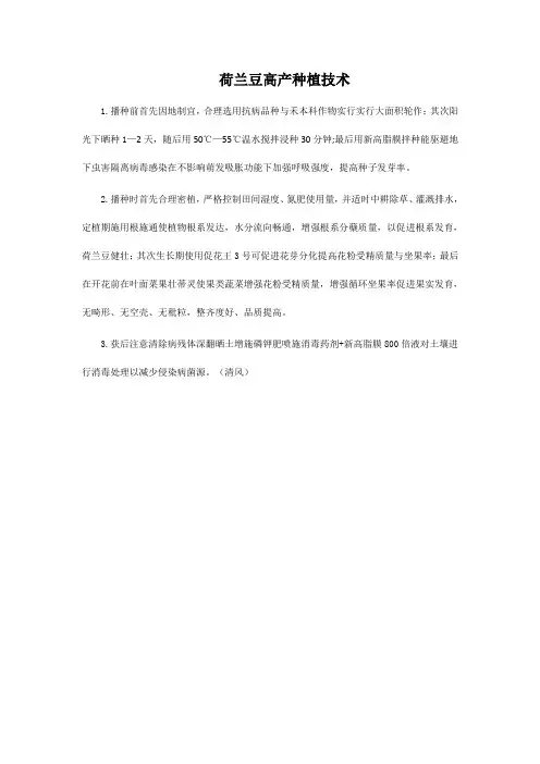 荷兰豆高产种植技术