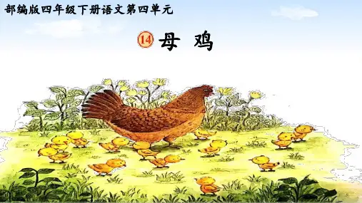 部编版语文四年级下册14《母鸡》课件(共26张PPT)