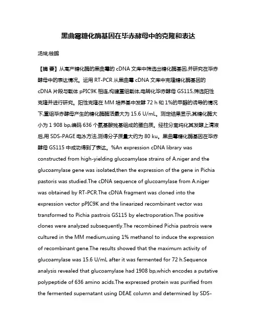 黑曲霉糖化酶基因在毕赤酵母中的克隆和表达