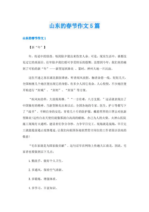 山东的春节作文5篇