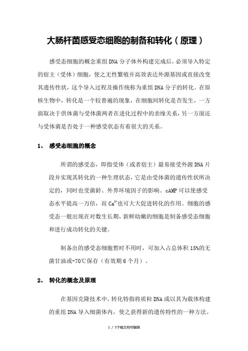 大肠杆菌感受态细胞的制备和转化原理