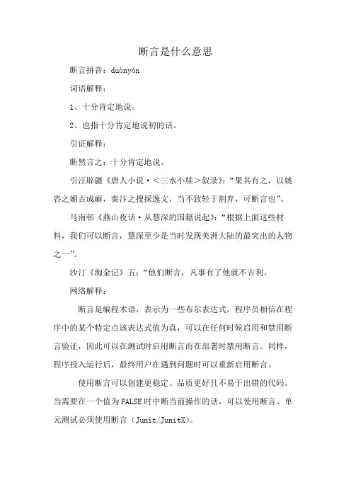 断言是什么意思
