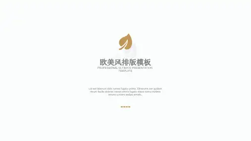 精品PPT模板_欧美商务风格-17