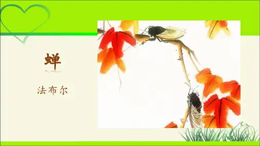 人教部编八年级语文上册《蝉》公开课教学课件