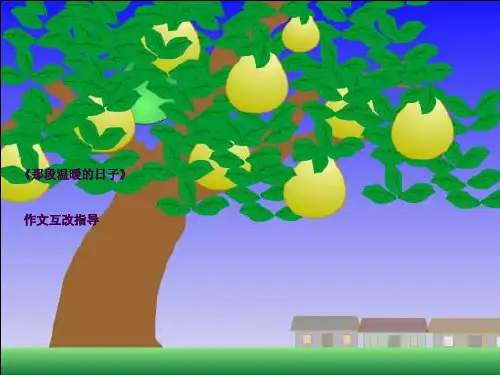 《那段温暖的日子》作文互评指导ppt课件