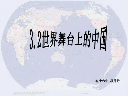 九年级政治世界舞台上的中国(2019年)