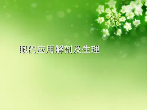 眼的应用解剖及生理优秀课件