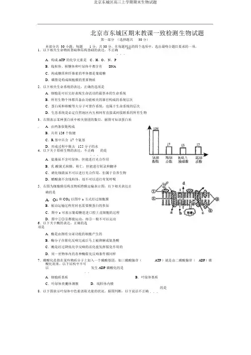 北京东城区高三上学期期末生物试题