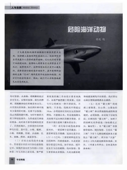 危险海洋动物
