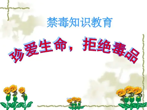 小学生禁毒教育完整ppt课件