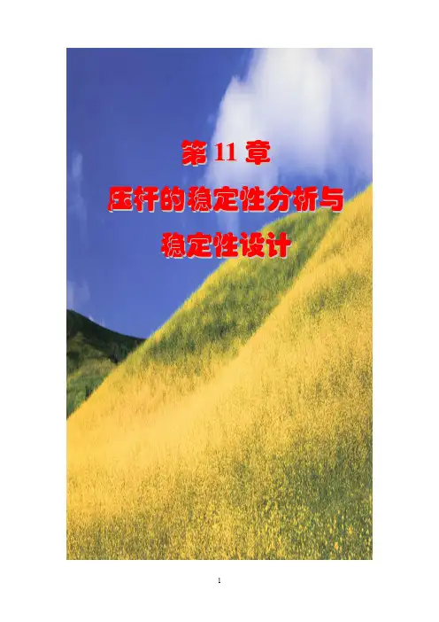 第11章 稳定分析与稳定性设计