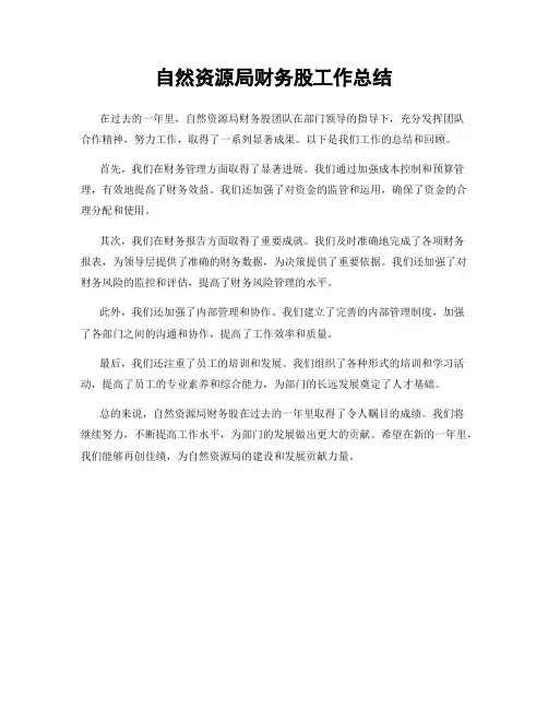 自然资源局财务股工作总结