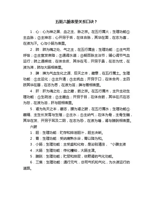 五脏六腑表里关系口诀？