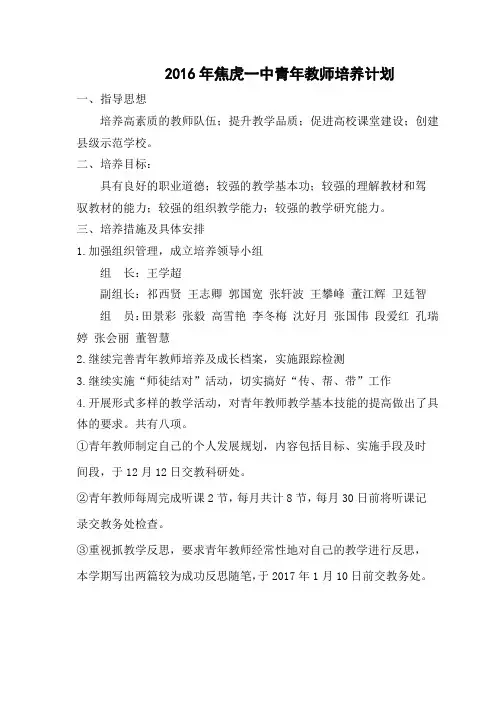 2016年青年教师培养计划