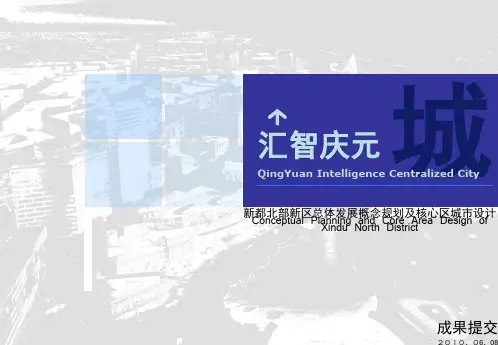 XX产业服务区概念规划及城市设计