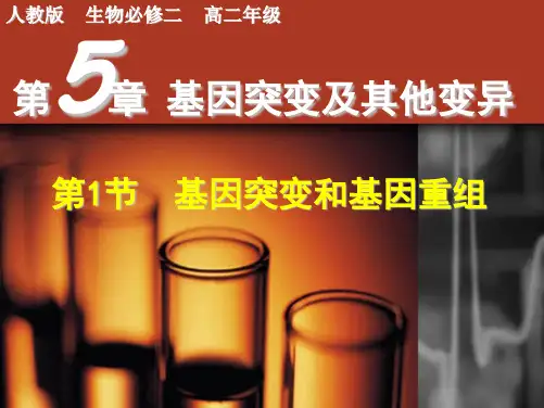 基因突变和基因重组(25张PPT)