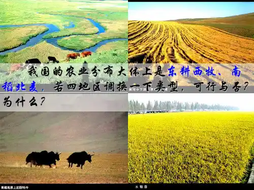 高中地理必修二 3.1 农业的区位选择