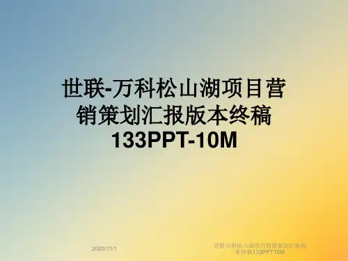 世联万科松山湖项目营销策划汇报版本终稿133PPT10M