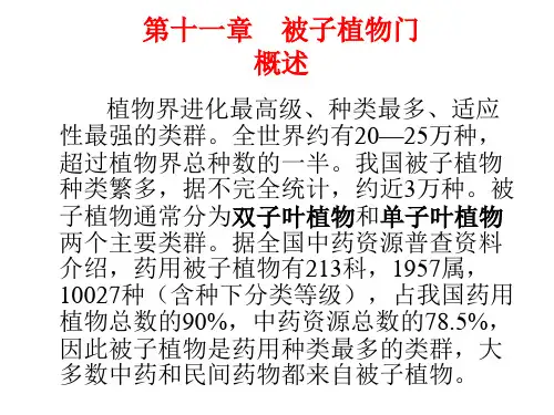 被子植物概述