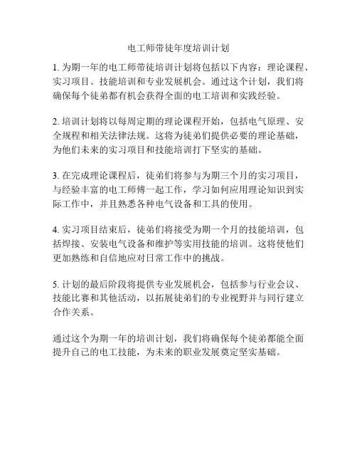 电工师带徒年度培训计划