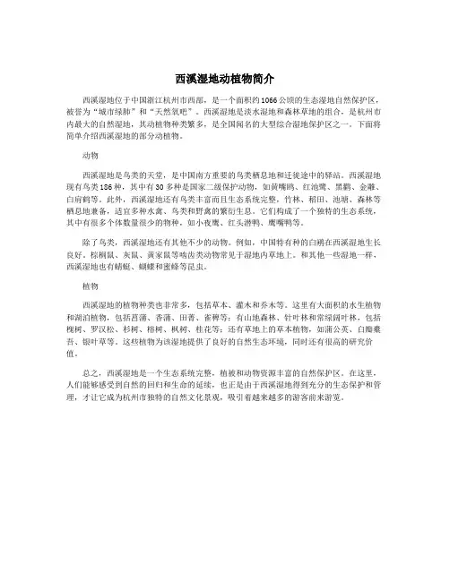西溪湿地动植物简介