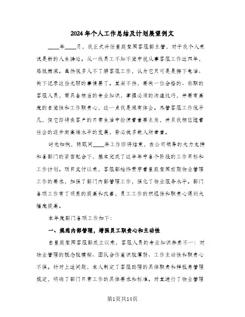 2024年个人工作总结及计划展望例文(五篇)