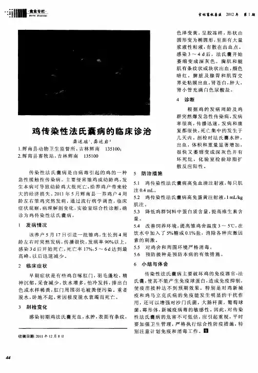 鸡传染性法氏囊病的临床诊治