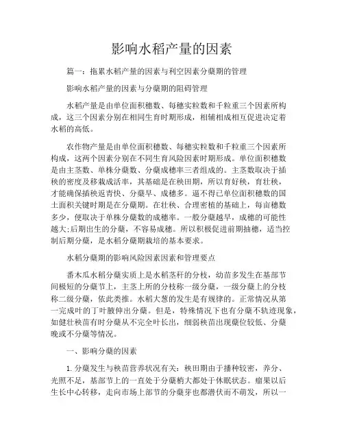 影响水稻产量的因素