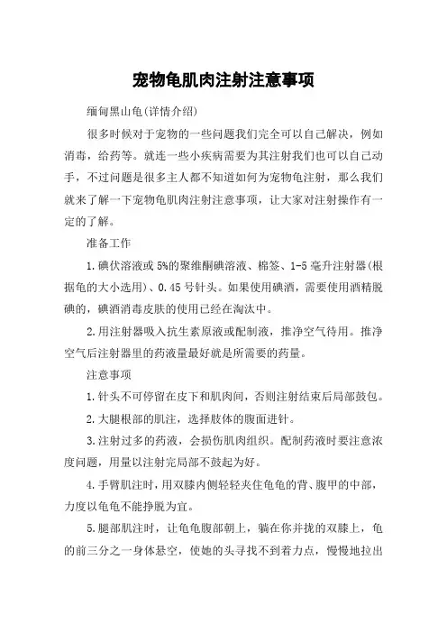 宠物龟肌肉注射注意事项