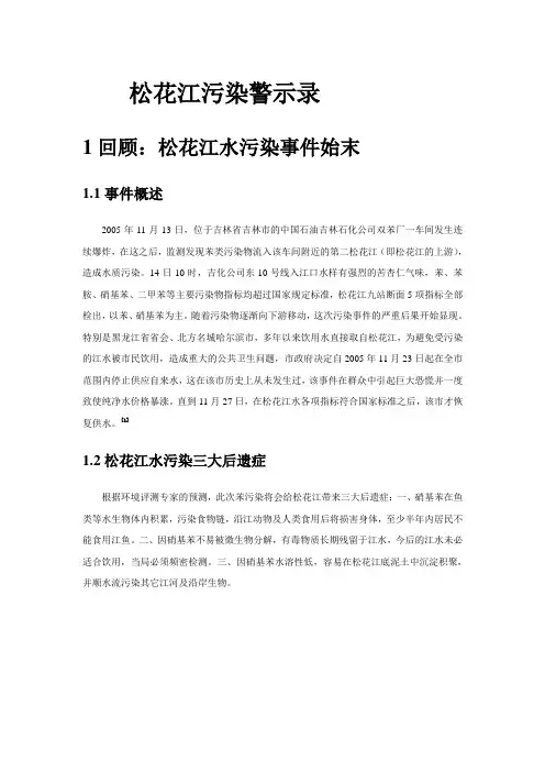 松花江水污染看法