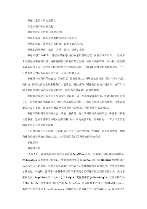 中脉公司到底是什么