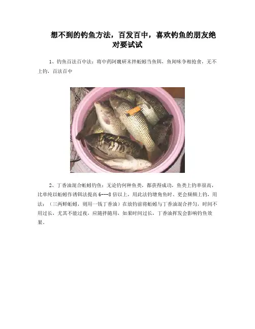 想不到的钓鱼方法,百发百中,喜欢钓鱼的朋友绝对要试试