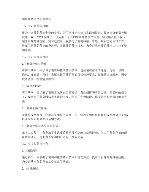 葡萄种植生产实习报告