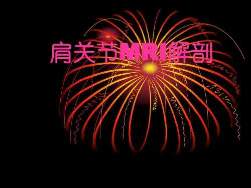 肩关节MRI解剖