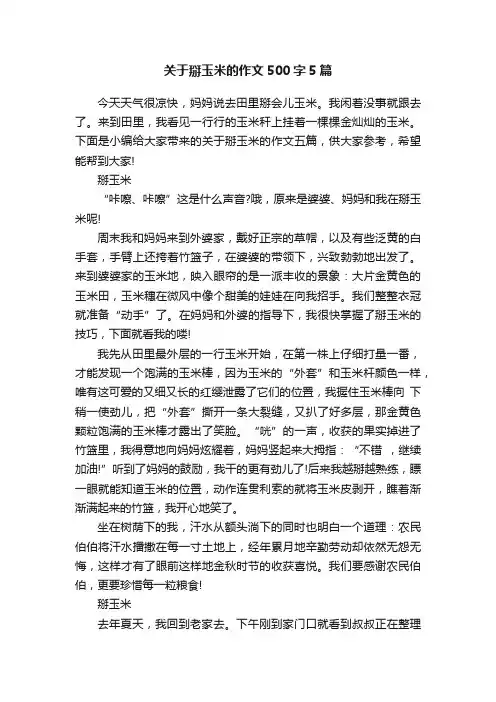 关于掰玉米的作文500字5篇
