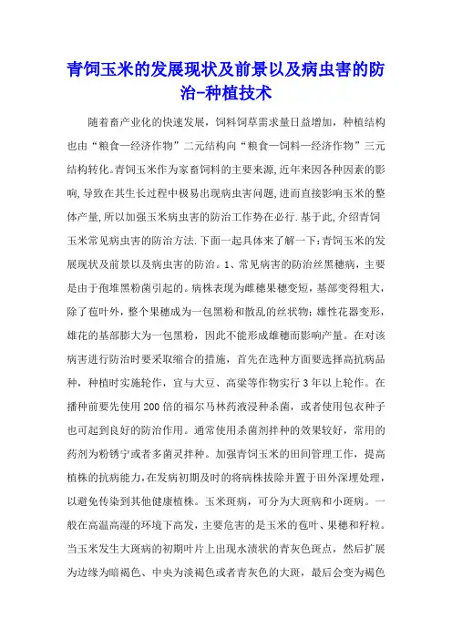 青饲玉米的发展现状及前景以及病虫害的防治 - 种植技术