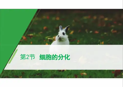 高中生物新人教版必修1细胞的分化课件(54张)