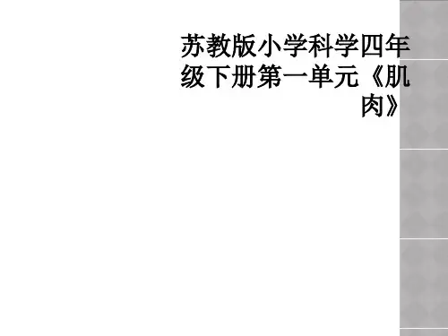 苏教版小学科学四年级下册第一单元《肌肉》