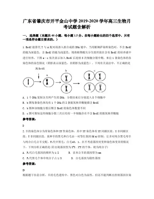 广东省肇庆市开平金山中学2019-2020学年高三生物月考试题含解析