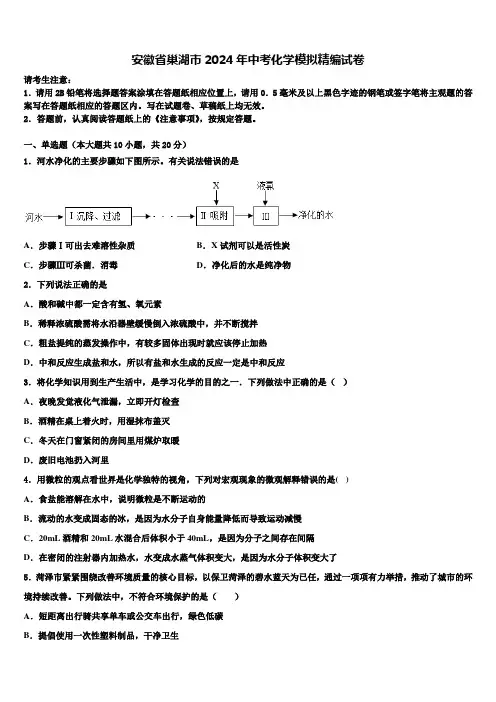 安徽省巢湖市2024届中考化学模拟精编试卷含解析