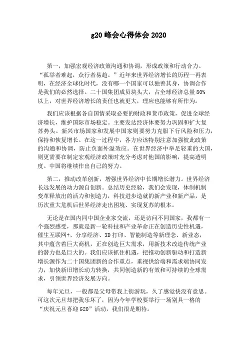 g20峰会心得体会2020