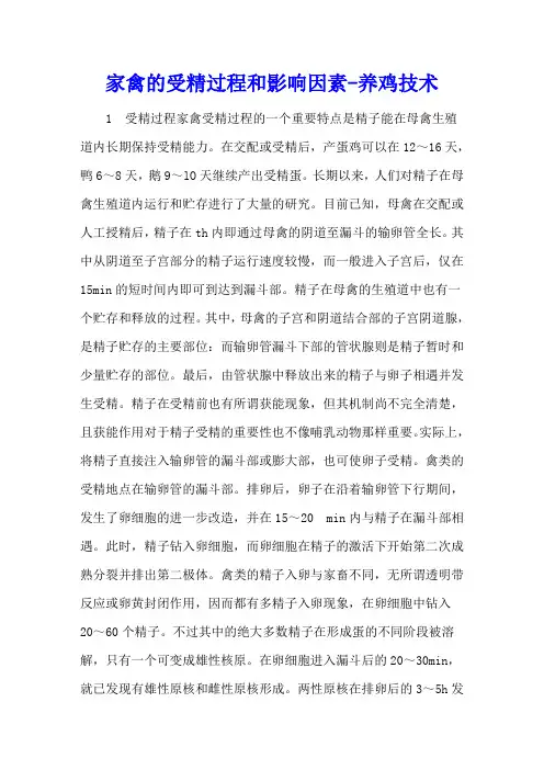 家禽的受精过程和影响因素 - 养鸡技术