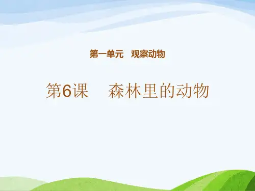 新粤教版三年级上册科学第6课《森林里的动物 》教学课件