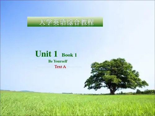 新潮大学英语第一册第一单元Unit1