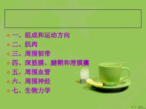 踝关节的基础知识